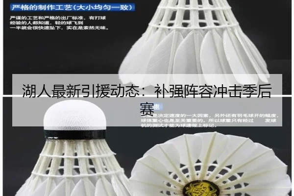 湖人最新引援动态：补强阵容冲击季后赛